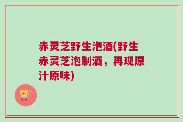 赤灵芝野生泡酒(野生赤灵芝泡制酒，再现原汁原味)