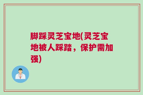 脚踩灵芝宝地(灵芝宝地被人踩踏,保护需加强) 脚踩灵芝宝地(灵芝宝地被人踩踏,保护需加强)