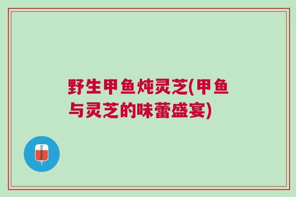野生甲鱼炖灵芝(甲鱼与灵芝的味蕾盛宴)
