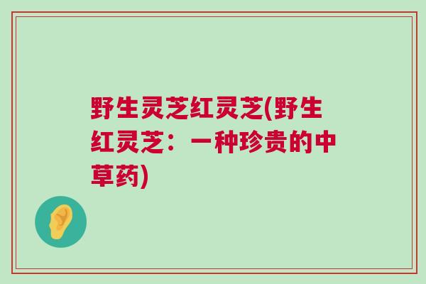 野生灵芝红灵芝(野生红灵芝：一种珍贵的中草药)