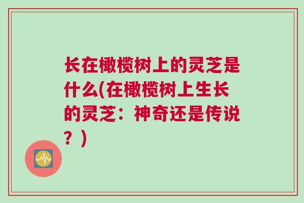 长在橄榄树上的灵芝是什么(在橄榄树上生长的灵芝：神奇还是传说？)
