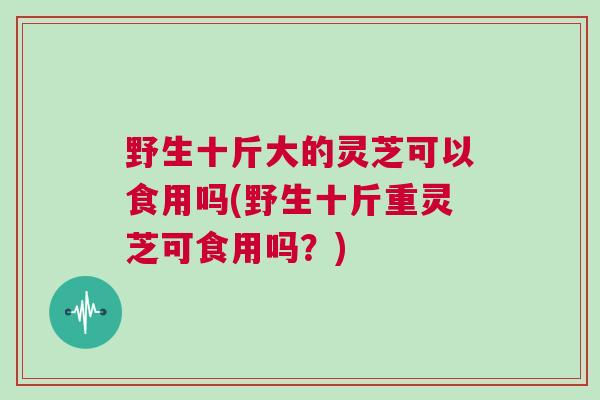 野生十斤大的灵芝可以食用吗(野生十斤重灵芝可食用吗?) 野生十斤大的灵芝可以食用吗(野生十斤重灵芝可食用吗?)