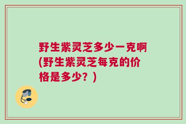 野生紫灵芝多少一克啊(野生紫灵芝每克的价格是多少？)
