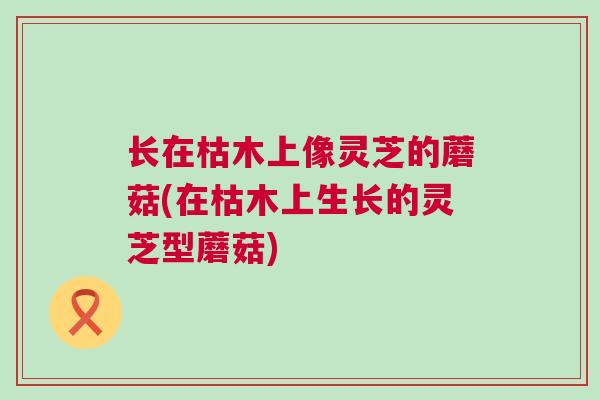 长在枯木上像灵芝的蘑菇(在枯木上生长的灵芝型蘑菇)