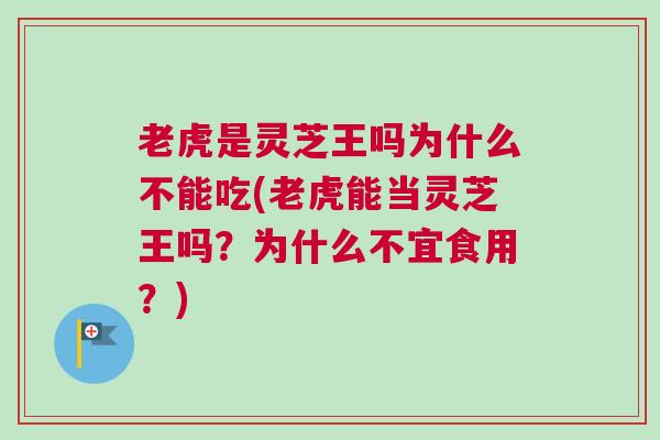 老虎是灵芝王吗为什么不能吃(老虎能当灵芝王吗?为什么不宜食用?) 老虎是灵芝王吗为什么不能吃(老虎能当灵芝王吗?为什么不宜食用?)