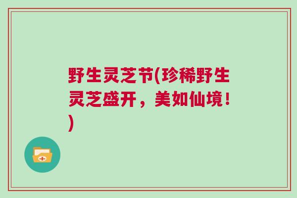 野生灵芝节(珍稀野生灵芝盛开，美如仙境！)