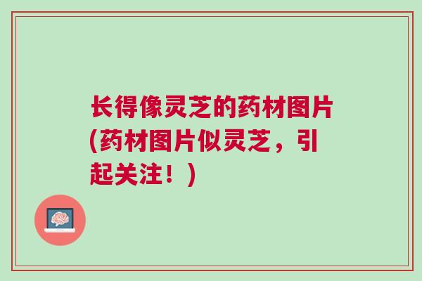 长得像灵芝的药材图片(药材图片似灵芝，引起关注！)