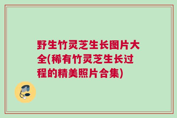 野生竹灵芝生长图片大全(稀有竹灵芝生长过程的精美照片合集)