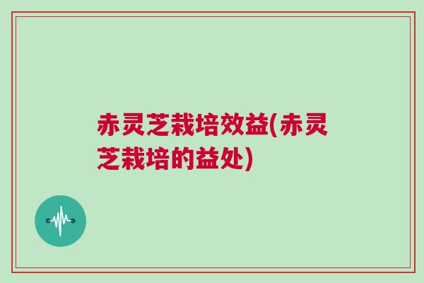赤灵芝栽培效益(赤灵芝栽培的益处)