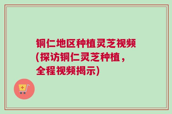 铜仁地区种植灵芝视频(探访铜仁灵芝种植，全程视频揭示)