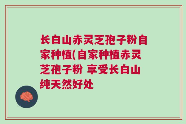 长白山赤灵芝孢子粉自家种植(自家种植赤灵芝孢子粉 享受长白山纯天然好处
