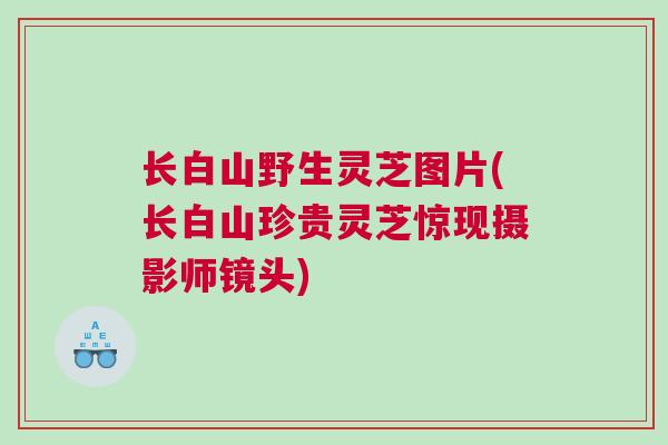 长白山野生灵芝图片(长白山珍贵灵芝惊现摄影师镜头) 长白山野生灵芝图片(长白山珍贵灵芝惊现摄影师镜头)