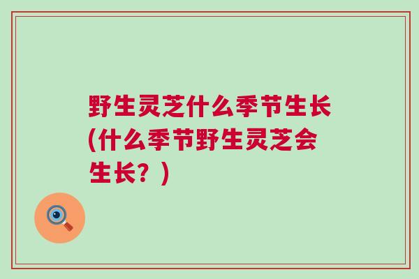 野生灵芝什么季节生长(什么季节野生灵芝会生长？)