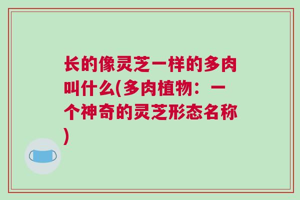 长的像灵芝一样的多肉叫什么(多肉植物：一个神奇的灵芝形态名称)