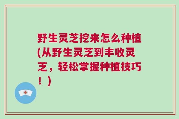 野生灵芝挖来怎么种植(从野生灵芝到丰收灵芝,轻松掌握种植技巧!) 野生灵芝挖来怎么种植(从野生灵芝到丰收灵芝,轻松掌握种植技巧!)