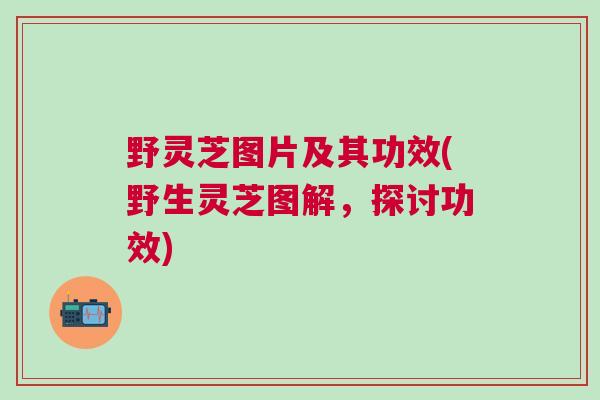 野灵芝图片及其功效(野生灵芝图解，探讨功效)