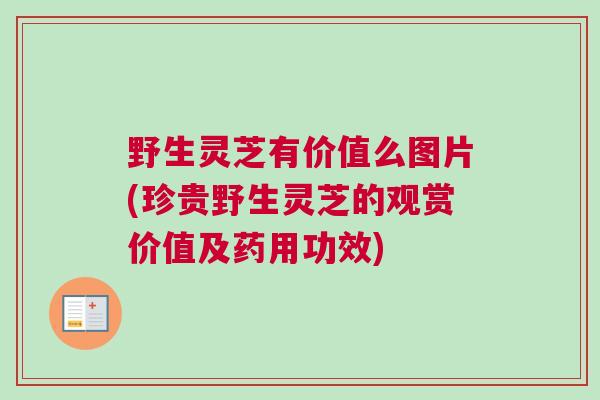 野生灵芝有价值么图片(珍贵野生灵芝的观赏价值及药用功效)