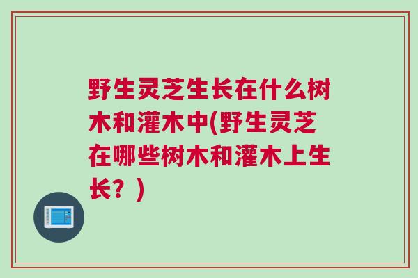 野生灵芝生长在什么树木和灌木中(野生灵芝在哪些树木和灌木上生长？)