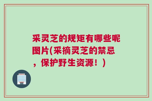 采灵芝的规矩有哪些呢图片(采摘灵芝的禁忌，保护野生资源！)