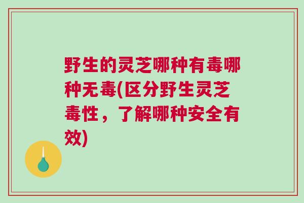 野生的灵芝哪种有毒哪种无毒(区分野生灵芝毒性，了解哪种安全有效)