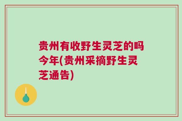 贵州有收野生灵芝的吗今年(贵州采摘野生灵芝通告)