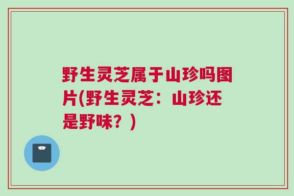 野生灵芝属于山珍吗图片(野生灵芝:山珍还是野味?) 野生灵芝属于山珍吗图片(野生灵芝:山珍还是野味?)