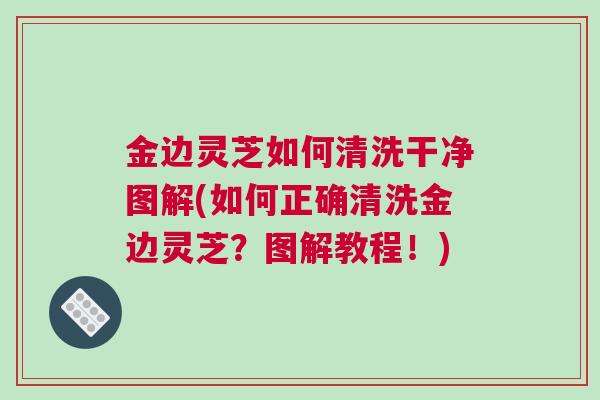 金边灵芝如何清洗干净图解(如何正确清洗金边灵芝？图解教程！)