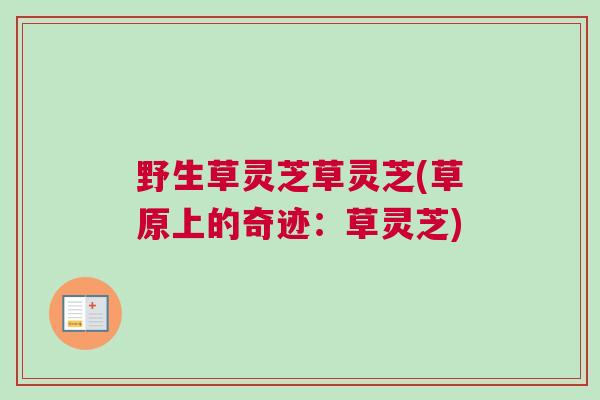 野生草灵芝草灵芝(草原上的奇迹:草灵芝) 野生草灵芝草灵芝(草原上的奇迹:草灵芝)