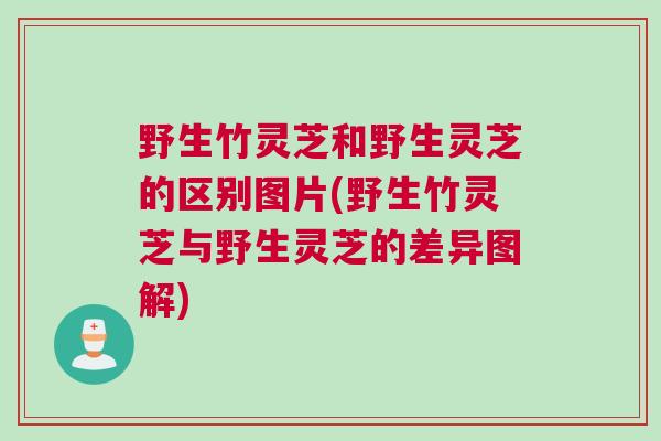 野生竹灵芝和野生灵芝的区别图片(野生竹灵芝与野生灵芝的差异图解)