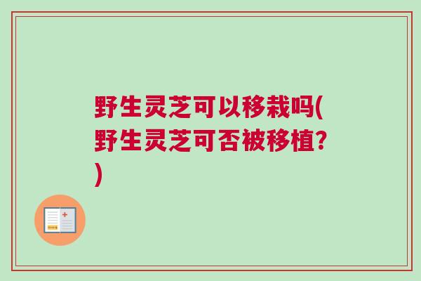 野生灵芝可以移栽吗(野生灵芝可否被移植？)