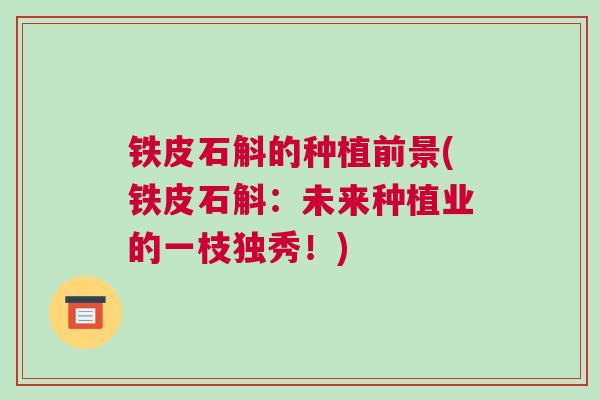 铁皮石斛的种植前景(铁皮石斛：未来种植业的一枝独秀！)