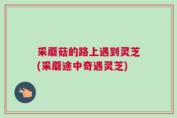 采蘑菇的路上遇到灵芝(采蘑途中奇遇灵芝)