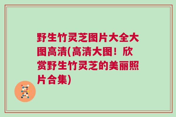 野生竹灵芝图片大全大图高清(高清大图！欣赏野生竹灵芝的美丽照片合集)