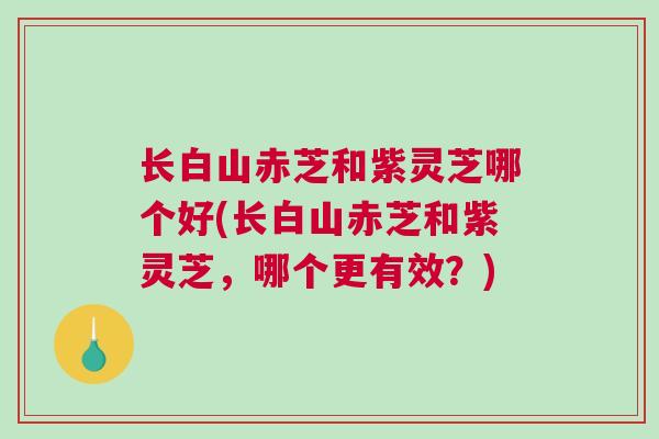 长白山赤芝和紫灵芝哪个好(长白山赤芝和紫灵芝，哪个更有效？)