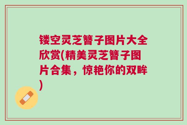 镂空灵芝簪子图片大全欣赏(精美灵芝簪子图片合集，惊艳你的双眸)