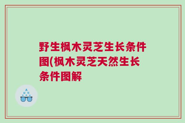 野生枫木灵芝生长条件图(枫木灵芝天然生长条件图解