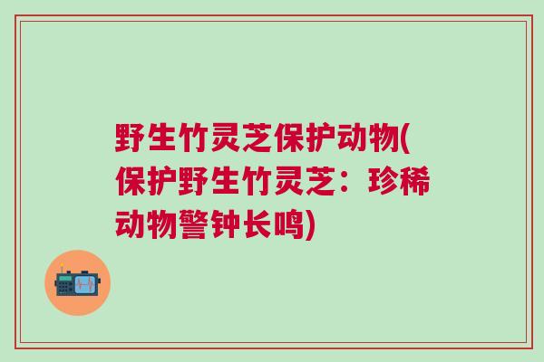 野生竹灵芝保护动物(保护野生竹灵芝:珍稀动物警钟长鸣) 野生竹灵芝保护动物(保护野生竹灵芝:珍稀动物警钟长鸣)