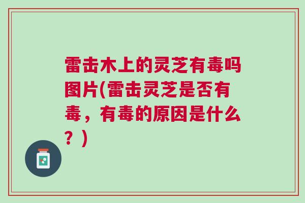 雷击木上的灵芝有毒吗图片(雷击灵芝是否有毒，有毒的原因是什么？)