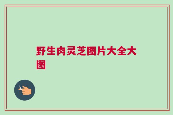 野生肉灵芝图片大全大图