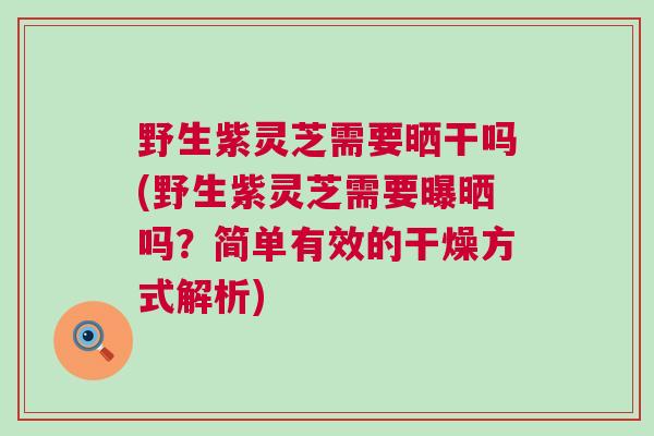 野生紫灵芝需要晒干吗(野生紫灵芝需要曝晒吗？简单有效的干燥方式解析)