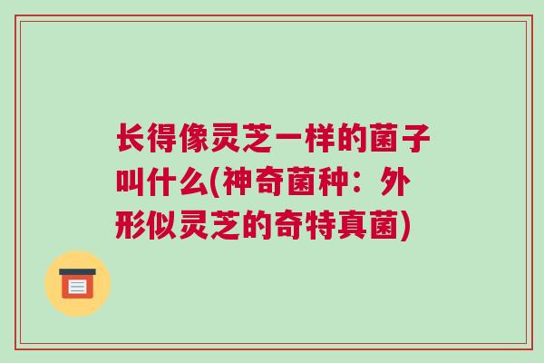 长得像灵芝一样的菌子叫什么(神奇菌种：外形似灵芝的奇特真菌)