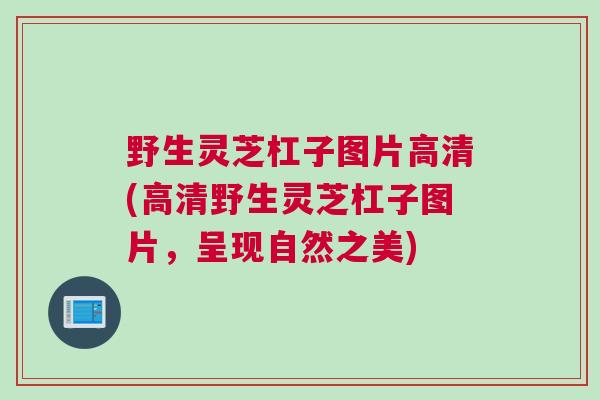 野生灵芝杠子图片高清(高清野生灵芝杠子图片，呈现自然之美)