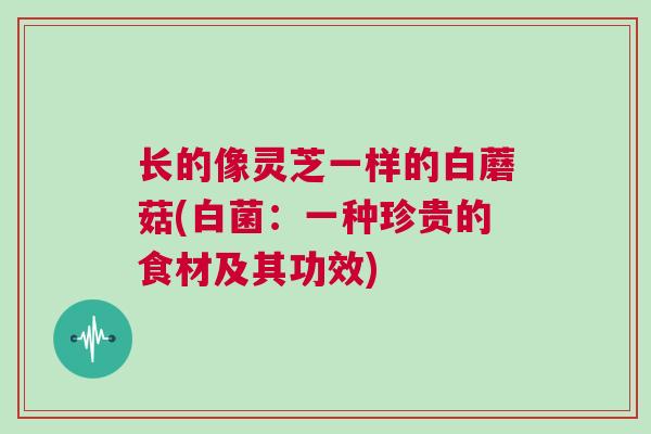 长的像灵芝一样的白蘑菇(白菌：一种珍贵的食材及其功效)