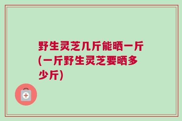 野生灵芝几斤能晒一斤(一斤野生灵芝要晒多少斤)