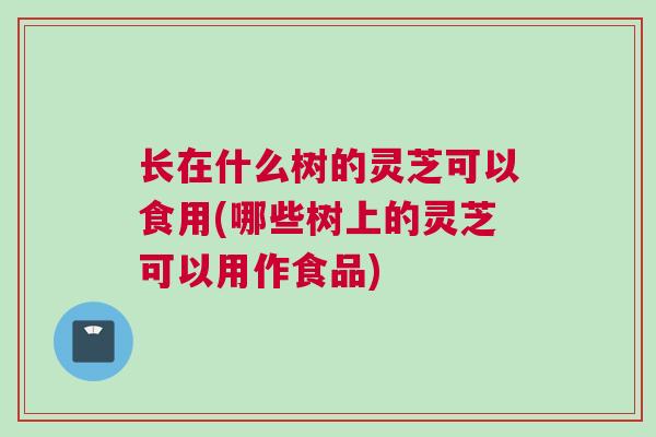 长在什么树的灵芝可以食用(哪些树上的灵芝可以用作食品)