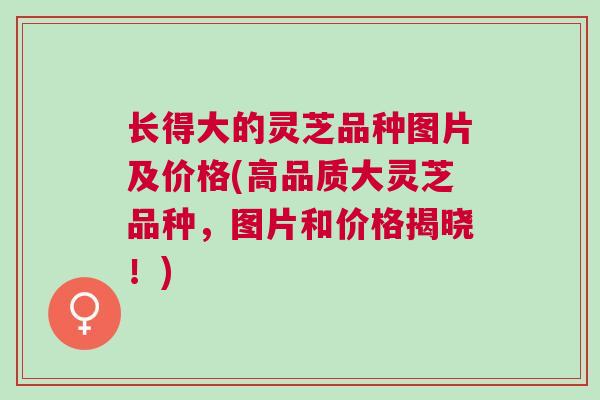 长得大的灵芝品种图片及价格(高品质大灵芝品种，图片和价格揭晓！)