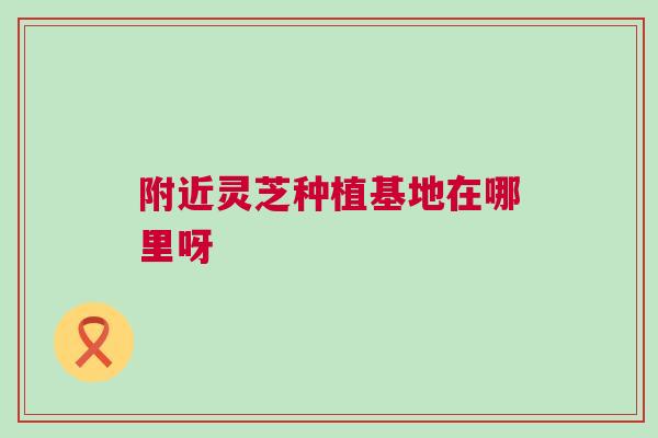附近灵芝种植基地在哪里呀