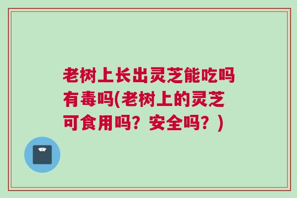 老树上长出灵芝能吃吗有毒吗(老树上的灵芝可食用吗？安全吗？)