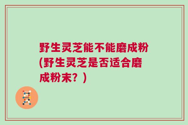 野生灵芝能不能磨成粉(野生灵芝是否适合磨成粉末?) 野生灵芝能不能磨成粉(野生灵芝是否适合磨成粉末?)