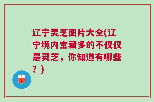 辽宁灵芝图片大全(辽宁境内宝藏多的不仅仅是灵芝，你知道有哪些？)